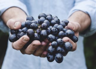 Czy owoce mogą obniżyć ryzyko wystąpienia cukrzycy typu II?