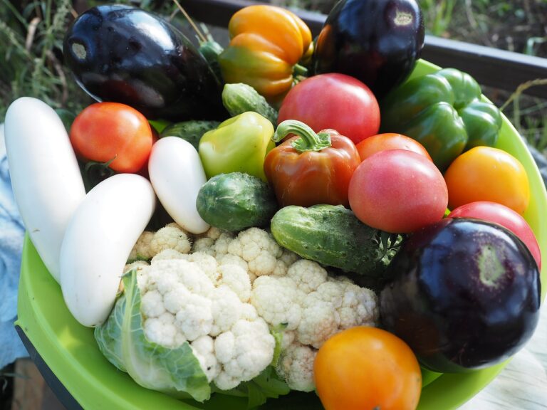 Dieta wegetariańska w insulinooporności- zalety i wady